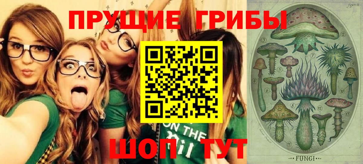 Псилоцибиновые грибы Psilocybine cubensis Саянск